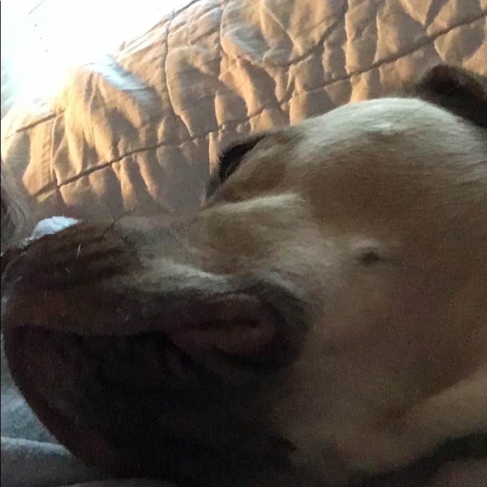 Meet your Posher, Shannon